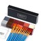Professional Face Body Paint Oil 12 Colors Halloween Art Party Fancy Make Up Set with 10 Blue Brushes,Light